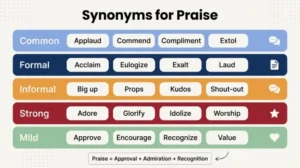 synonyms for praise