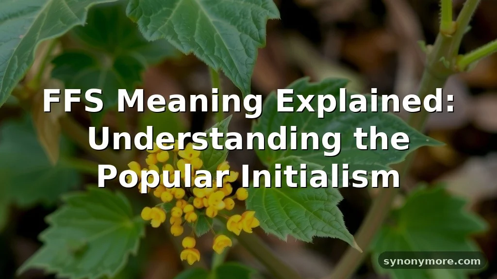ffs meaning in text