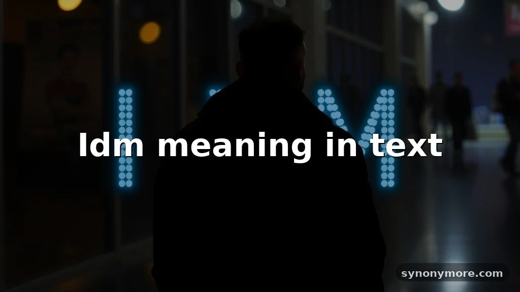 idm meaning in text