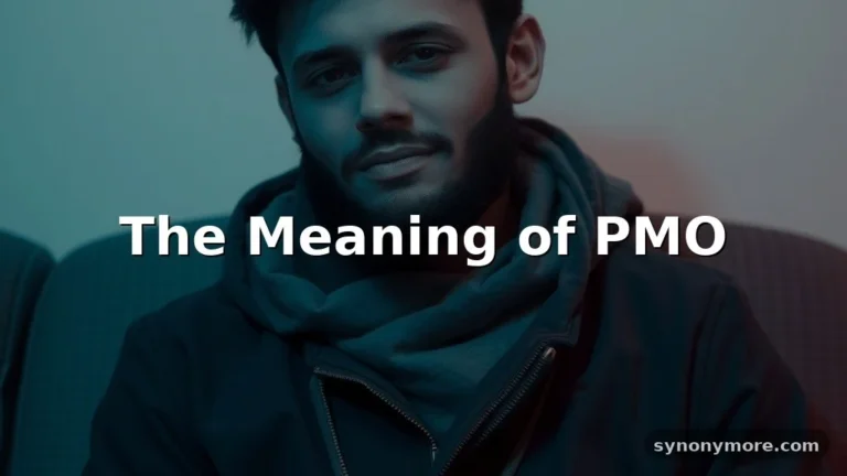 pmo meaning in text