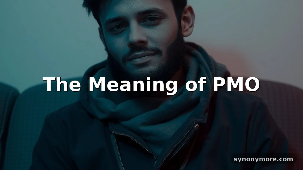 pmo meaning in text