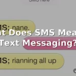 sms meaning in text