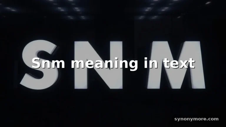 snm meaning in text