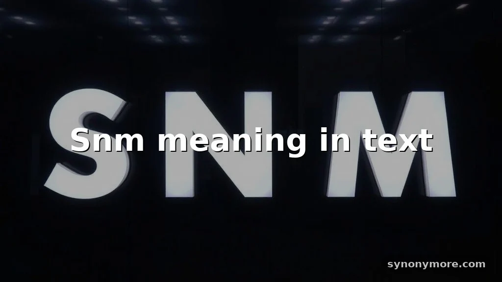 snm meaning in text