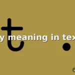 ty meaning in text
