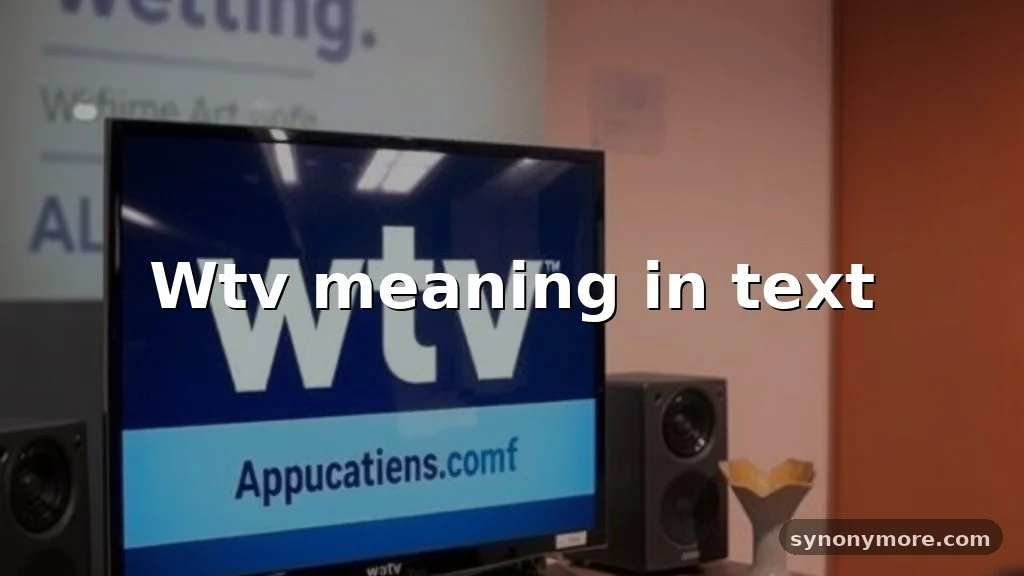 wtv meaning in text