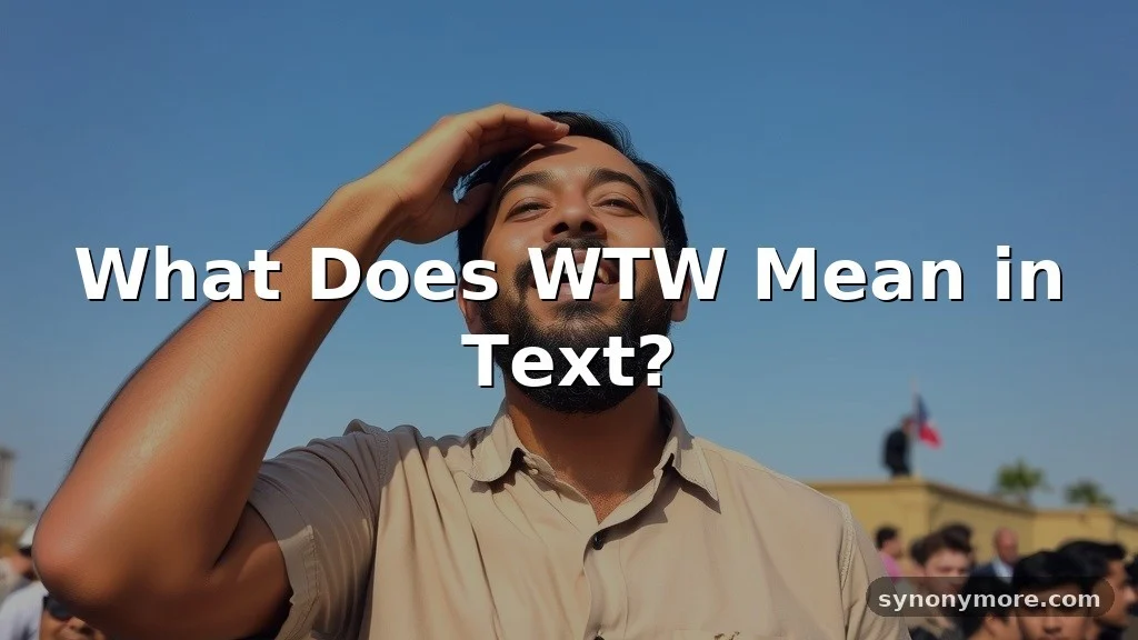 wtw meaning in text